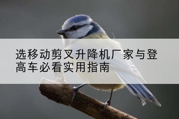 吴忠电动升降机厂家-选移动剪叉升降机厂家与登高车必看实用指南