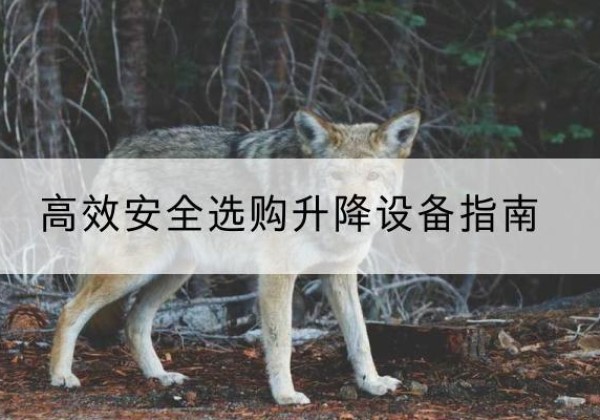 吴忠升降货梯厂家推荐-*安全选购升降设备指南